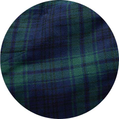 Close-up of blue and green tartan plaid fabric.