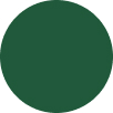 Solid dark green circle on a white background.