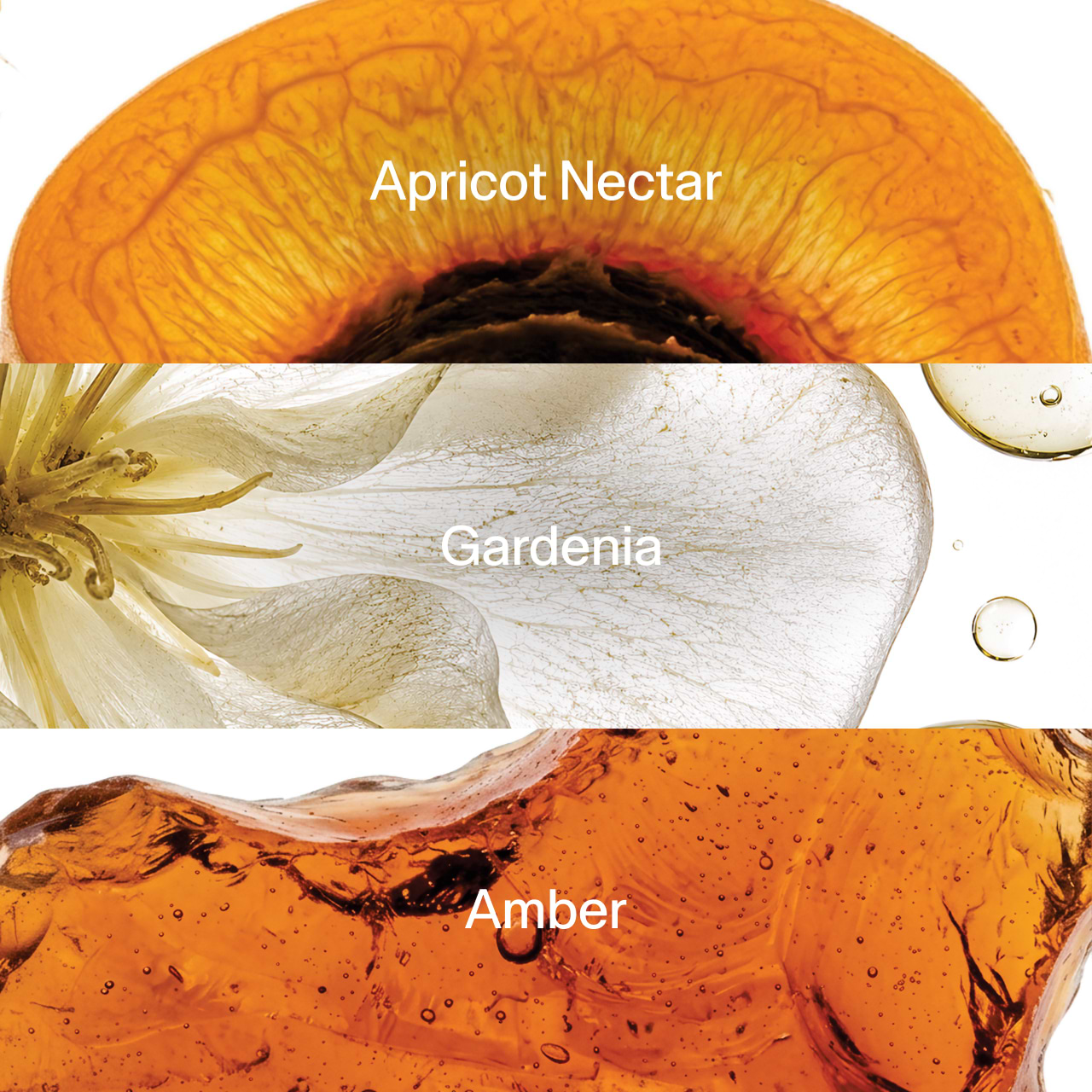 GapBeauty Fragances Highlight Image