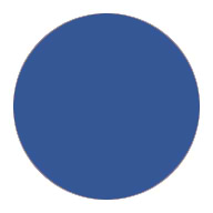Solid blue circle on a white background.