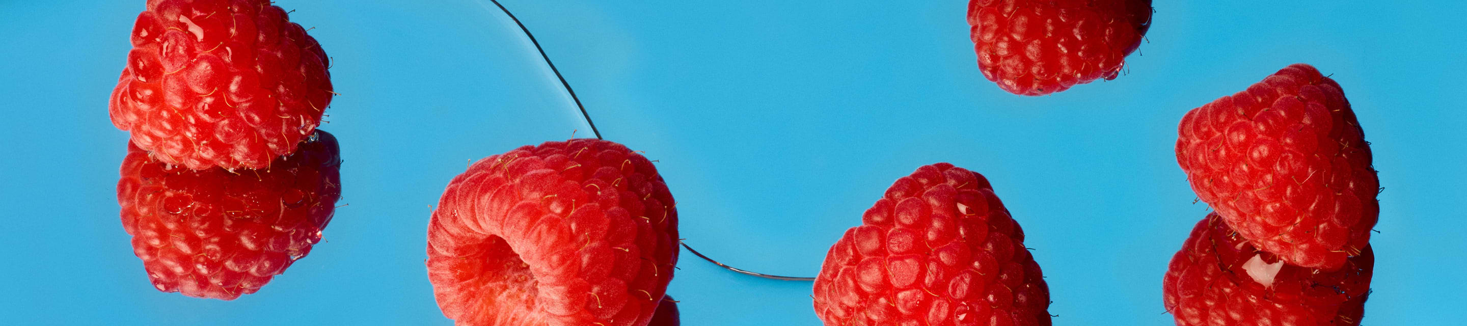 Close-up of red raspberries with reflections on a bright blue background. Find Your Store.
