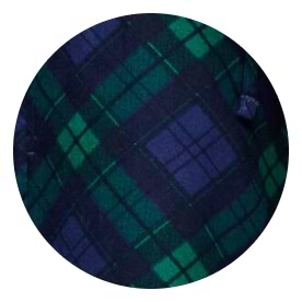 Close-up of navy and green tartan plaid pattern.