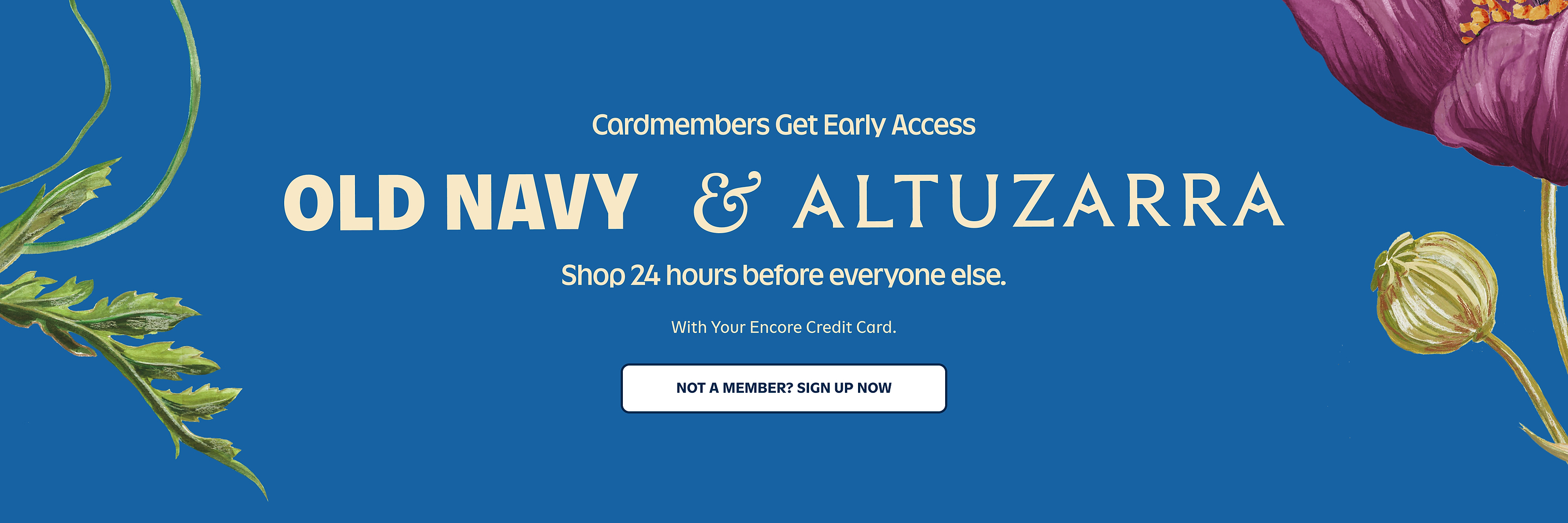 Promo banner: Cardmembers get early access to Old Navy & Altuzarra—shop 24 hours early. Button: “Not a member? Sign up now.”