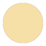 Pale yellow circle with a thin red outline on a white background.