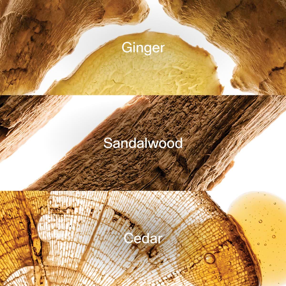 GapBeauty Fragances Highlight Image