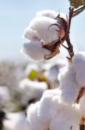 Shoppable Outfit image