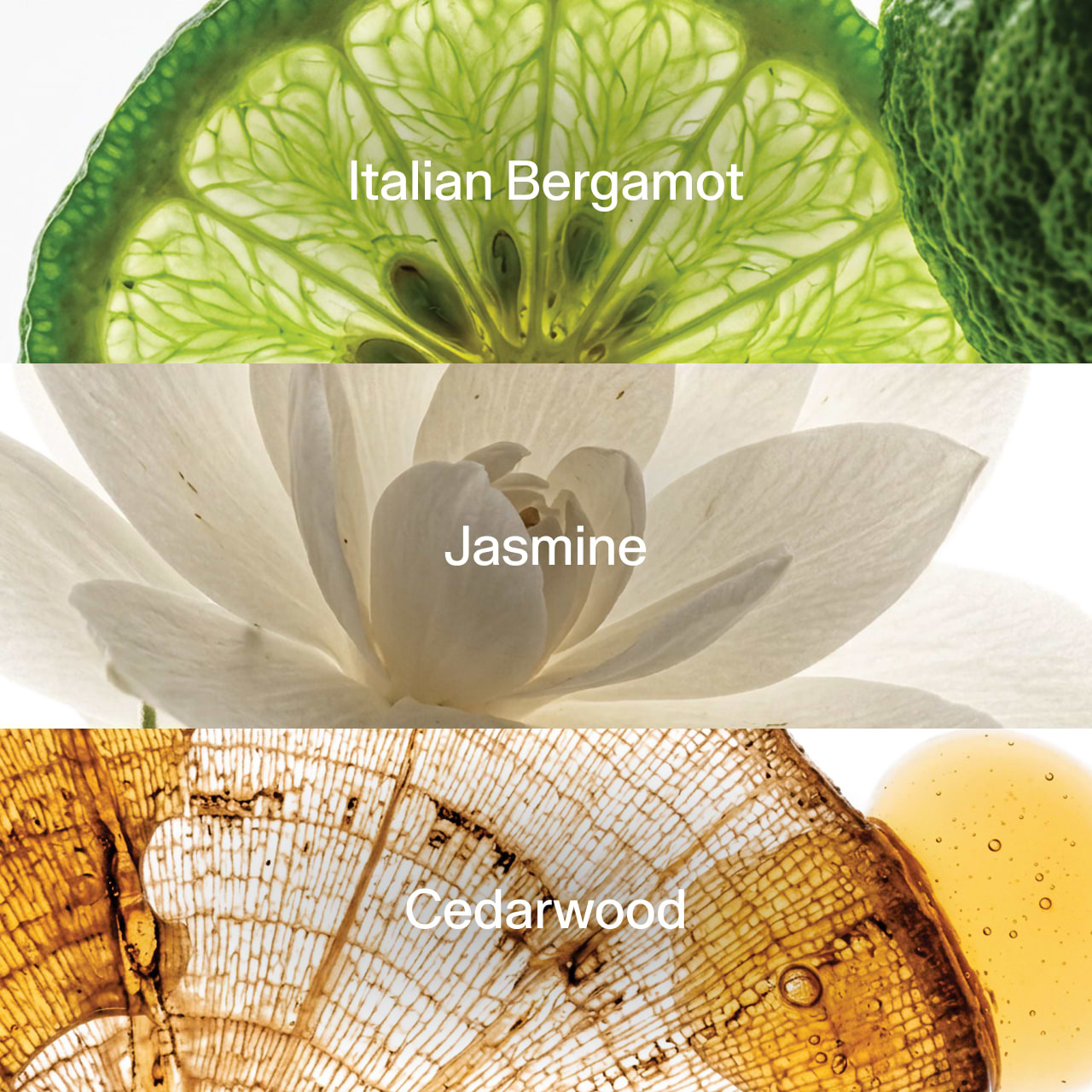 GapBeauty Fragances Highlight Image