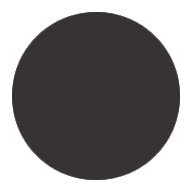 Solid black circle on a white background.