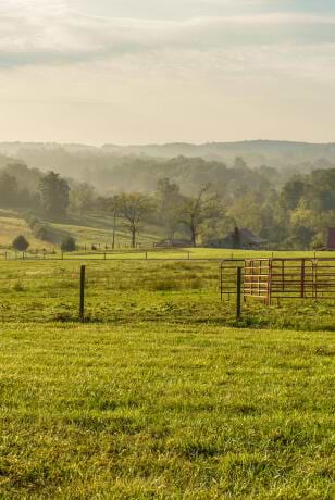 Shoppable Outfit image