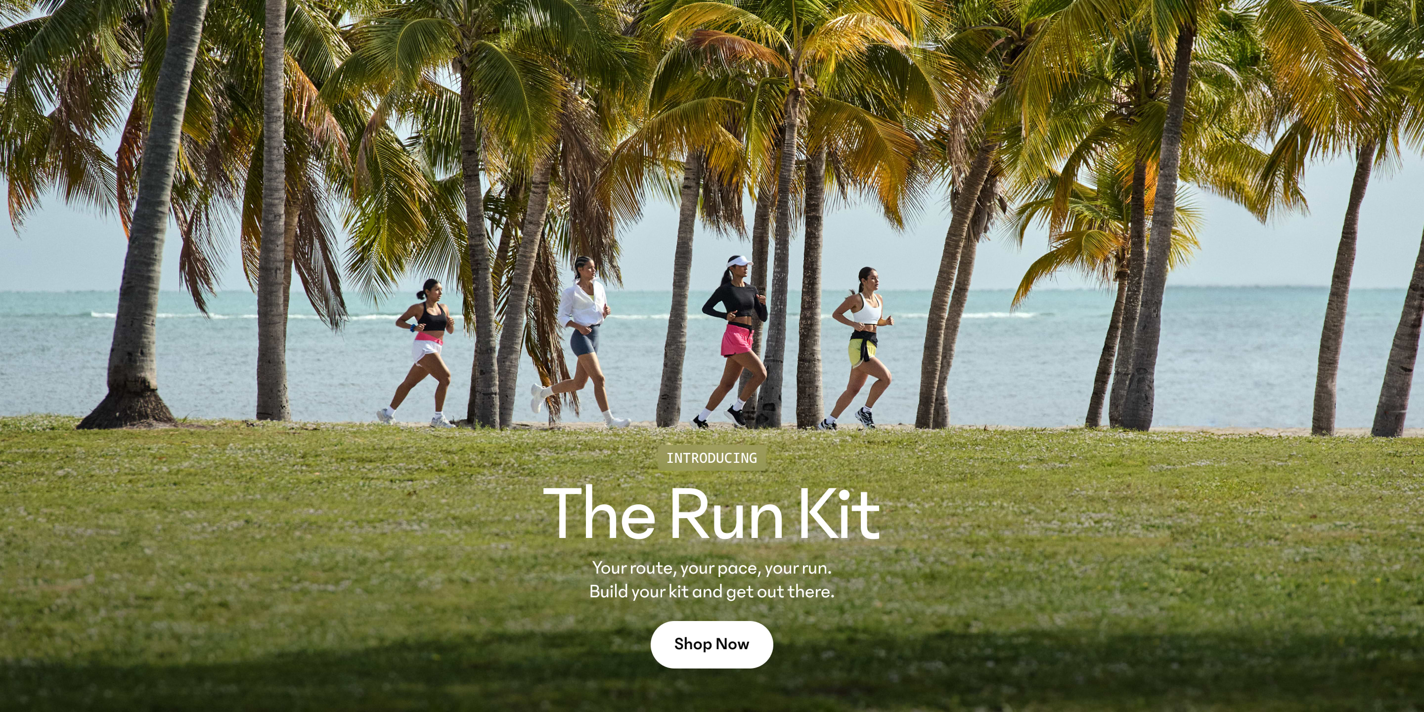 Four runners jog through a palm-lined park beside the ocean.