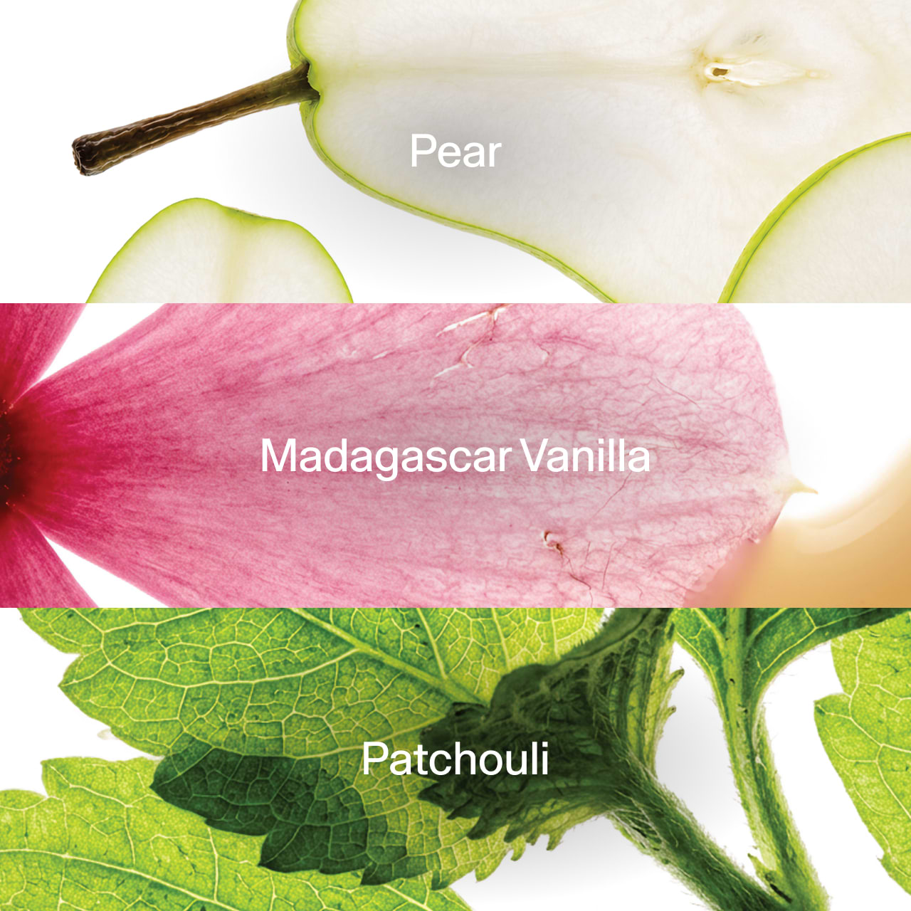 GapBeauty Fragances Highlight Image