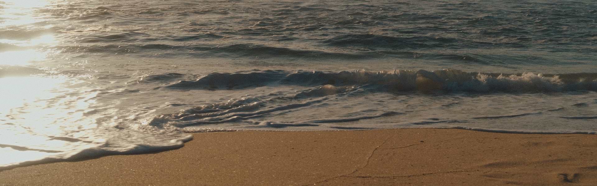 waves on the beach