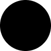 Solid black circle on a white background.