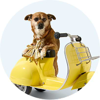 Image of an Old Navy woven straw tote with pink gingham lining and a white bunny graphic, next to a small brown-and-white rabbit.